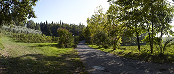 Le Tende Azienda Agricola 2